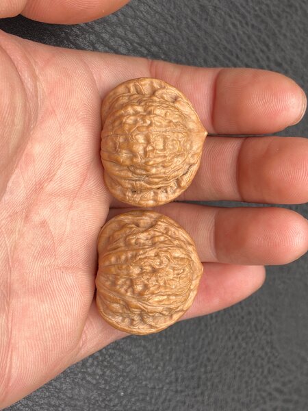 凤冠公子帽