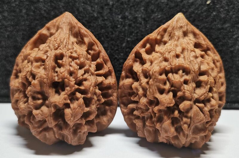 青龙脉秋子