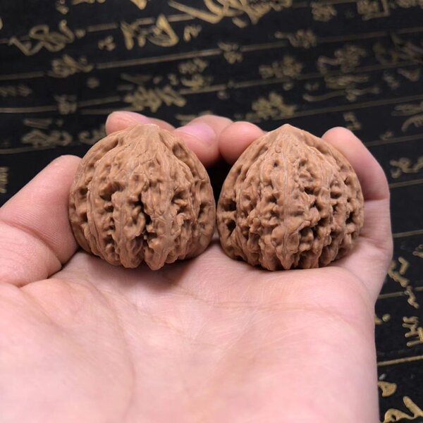 密纹狮子头