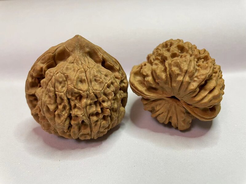 黄崖关老树 - 精品