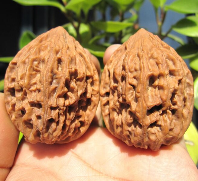夹板鸡心
